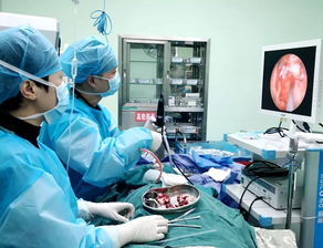 醫(yī)療技術新突破 西充縣人民醫(yī)院耳鼻咽喉科在鼻內(nèi)鏡與超聲技術領域的卓越實踐