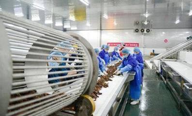 科技賦能鮮味體驗 每日優鮮小龍蝦節開啟，超聲技術驅動生鮮開發新篇章